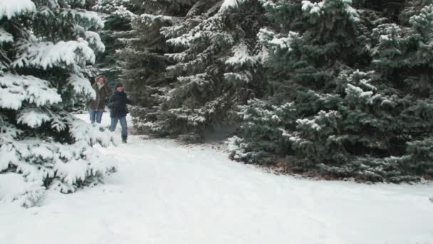 家庭休息在冬天森林 美丽的风景与雪的冷杉树 — 图库视频影像