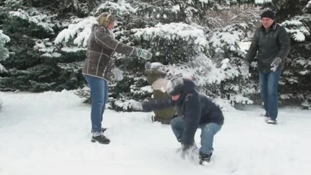 家庭休息在冬天森林 美丽的风景与雪的冷杉树 — 图库视频影像