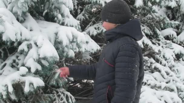 Šťastné Dítě Chlapec Hraje Větvemi Stromu Zasněžené Jedle Zimní Les — Stock video