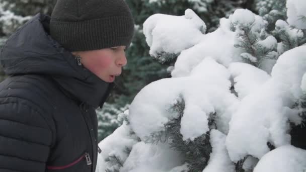 Menino Feliz Brinca Com Ramos Abeto Nevado Floresta Inverno Bela — Vídeo de Stock