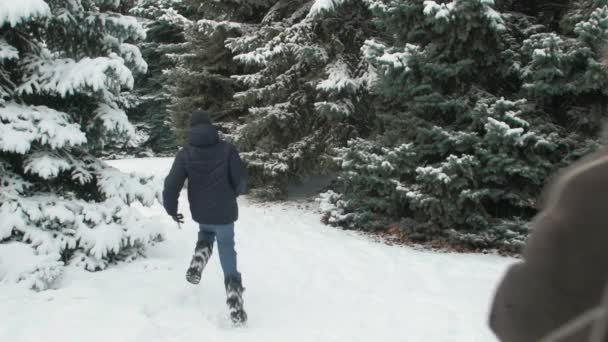 家庭休息在冬天森林 美丽的风景与雪的冷杉树 — 图库视频影像