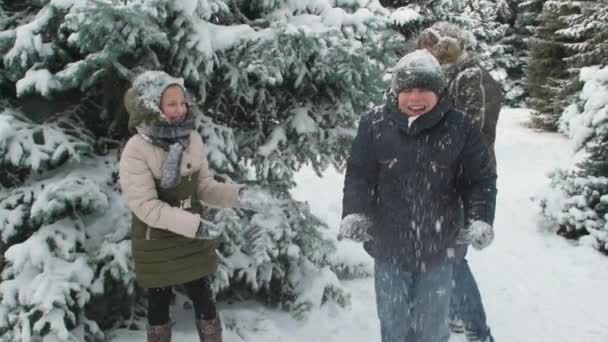 家庭休息在冬天森林 美丽的风景与雪的冷杉树 — 图库视频影像