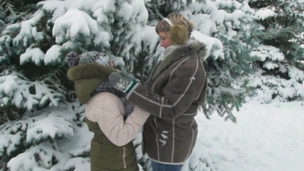 家庭休息在冬天森林 美丽的风景与雪的冷杉树 — 图库视频影像