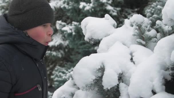 Lyckligt Barn Pojke Leker Med Snöiga Fir Trädgrenar Vintern Skog — Stockvideo