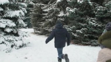 Aile kış orman, karlı köknar ağaçları ile güzel manzara aittir