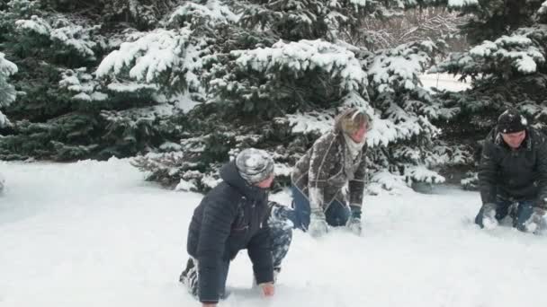 Familia Descansa Bosque Invierno Hermoso Paisaje Con Abetos Nevados — Vídeos de Stock