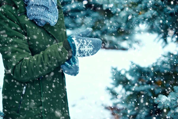 woman is wearing mittens in winter forest, green fir trees with snow