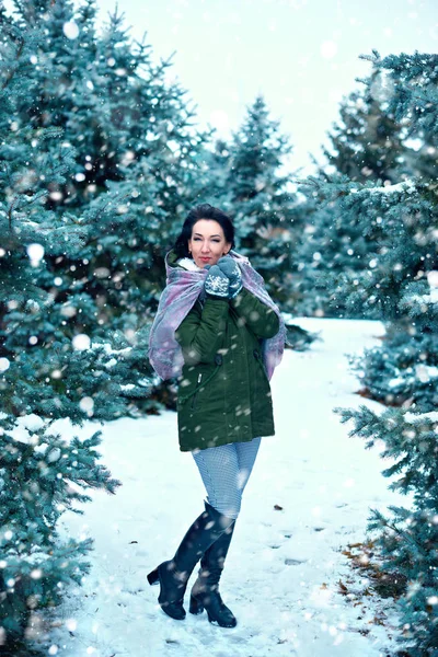 Hermosa Mujer Está Bosque Invierno Abetos Verdes Con Nieve — Foto de Stock