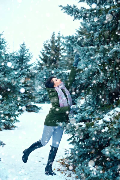 Hermosa Mujer Está Bosque Invierno Abetos Verdes Con Nieve — Foto de Stock