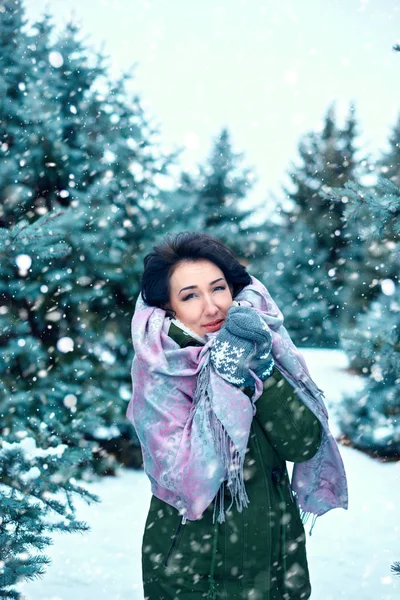 Hermosa Mujer Está Bosque Invierno Abetos Verdes Con Nieve — Foto de Stock