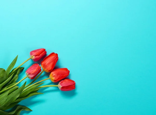 赤い花の束は青背景空白 - 愛と休日の概念 — ストック写真