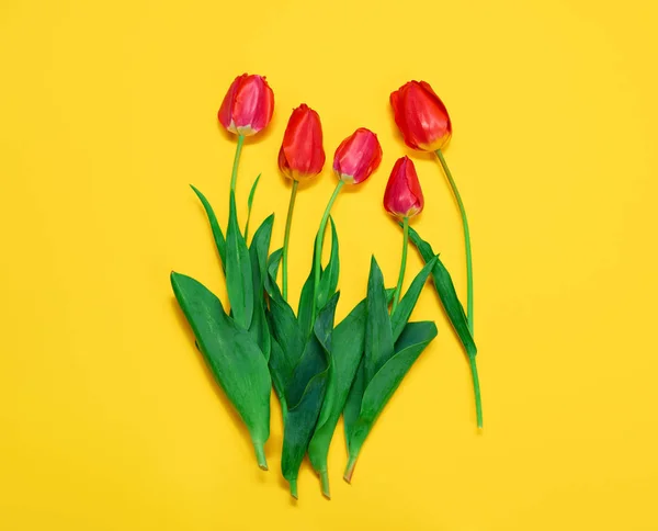 赤い花の束は黄色の背景、空白 - 愛と休日の概念 — ストック写真