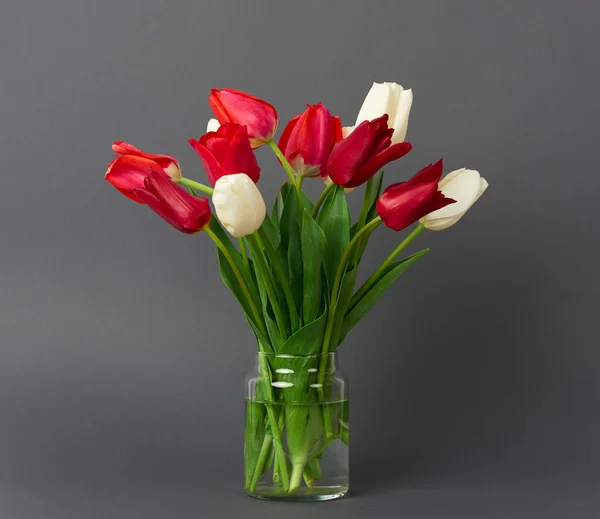 Tulipán flores están en un jarrón sobre fondo gris — Foto de Stock