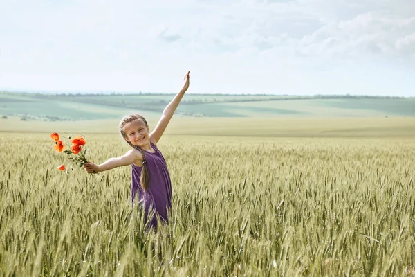 Dívka s červenými Tulipán květy pózuje v pšeničné pole, zářivé slunce, krásné letní krajina — Stock fotografie