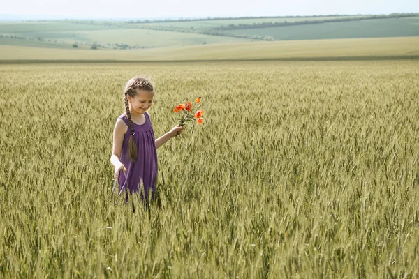 Dívka s červenými Tulipán květy pózuje v pšeničné pole, zářivé slunce, krásné letní krajina — Stock fotografie