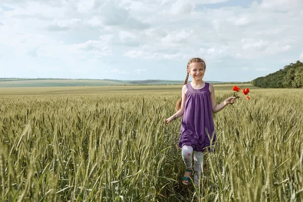 Dívka s červenými Tulipán květy pózuje v pšeničné pole, zářivé slunce, krásné letní krajina — Stock fotografie