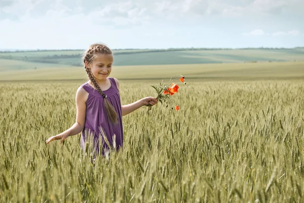 गहू शेतात पोझिंग लाल टूलप फुलांसह मुलगी, तेजस्वी सूर्य, सुंदर उन्हाळ्यात लँडस्केप — स्टॉक फोटो, इमेज