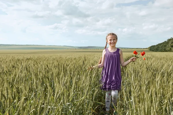 Девушка с красными цветами тюльпана позирует в поле пшеницы, яркое солнце, красивый летний пейзаж — стоковое фото