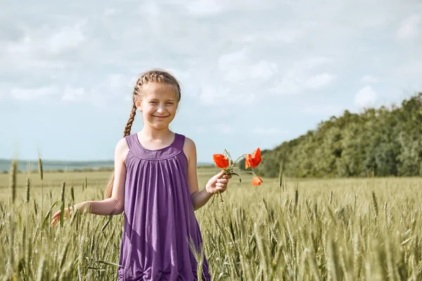 Dívka s červenými Tulipán květy pózuje v pšeničné pole, zářivé slunce, krásné letní krajina — Stock fotografie