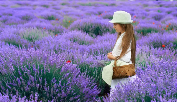 Menina criança está no campo de flores de lavanda, bela paisagem de verão — Fotografia de Stock