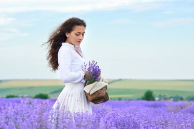 Genç kadın lavanta çiçek alanında, güzel yaz manzara