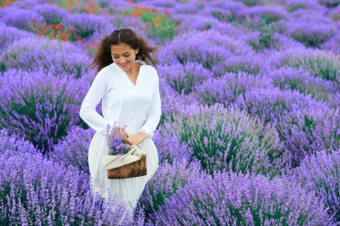 Genç kadın lavanta çiçek alanında, güzel yaz manzara