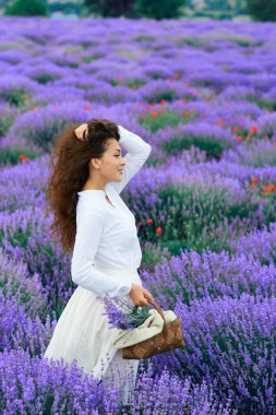 Genç kadın lavanta çiçek alanında, güzel yaz manzara
