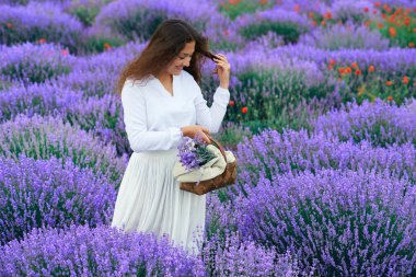 Genç kadın lavanta çiçek alanında, güzel yaz manzara