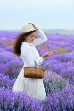 Genç kadın lavanta çiçek alanında, güzel yaz manzara