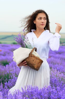 Genç kadın lavanta çiçek alanında, güzel yaz manzara