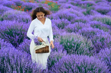 Genç kadın lavanta çiçek alanında, güzel yaz manzara