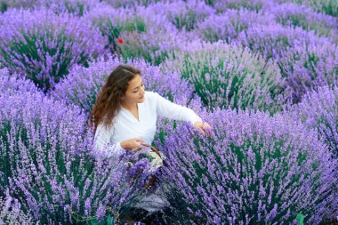 Genç kadın lavanta çiçek alanında, güzel yaz manzara