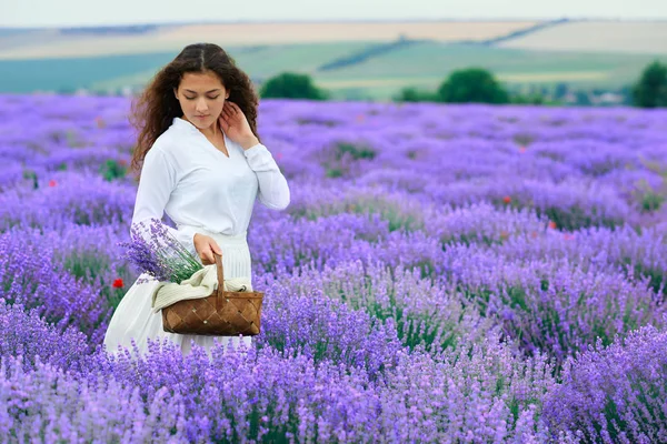 Jovem está no campo de flores de lavanda, bela paisagem de verão — Fotografia de Stock