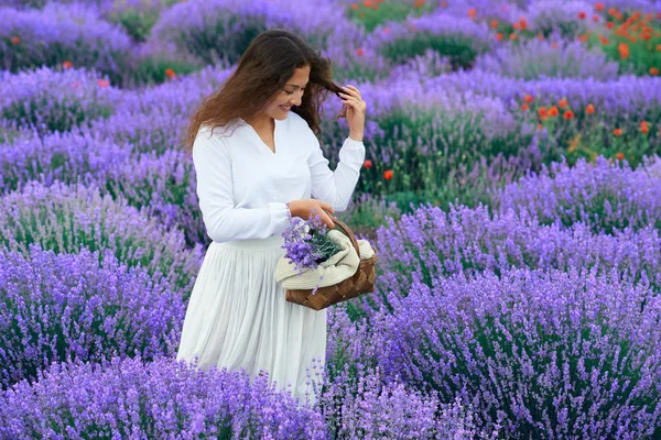 Genç kadın lavanta çiçek alanında, güzel yaz manzara