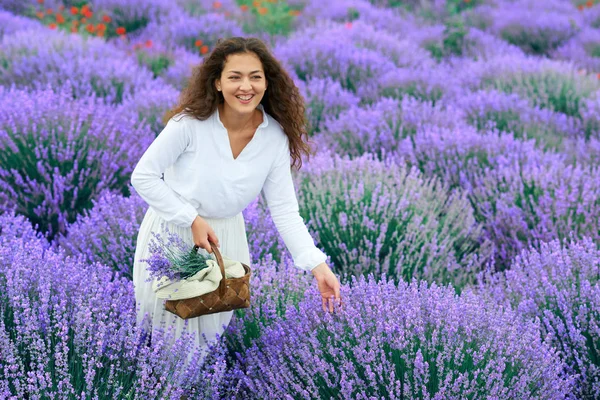 Genç kadın lavanta çiçek alanında, güzel yaz manzara