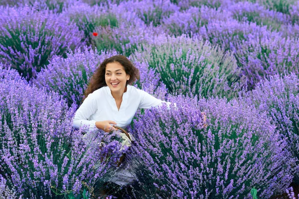 Genç kadın lavanta çiçek alanında, güzel yaz manzara