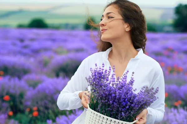 Genç kadın lavanta çiçek alanında, güzel yaz manzara