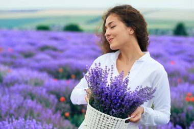 Genç kadın lavanta çiçek alanında, güzel yaz manzara