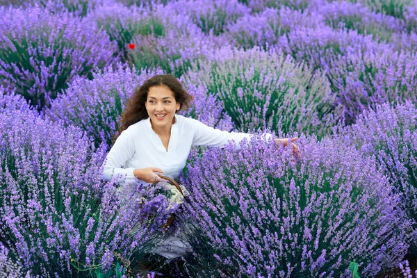 Giovane donna è nel campo di fiori di lavanda, bellissimo paesaggio estivo — Foto Stock