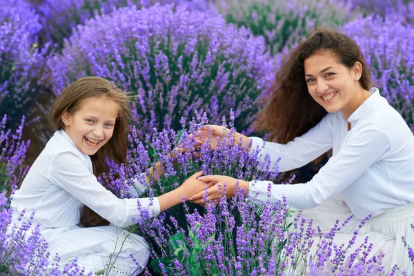 Dívky jsou v levandulových květinových polích, nádherná letní krajina — Stock fotografie