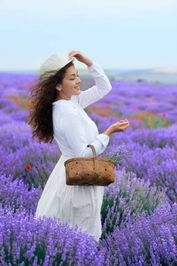 Genç kadın lavanta çiçek alanında, güzel yaz manzara