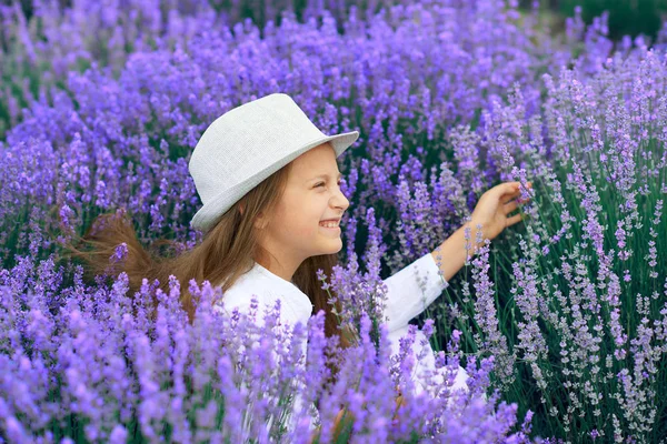 Girl child is in the lavender flower field, beautiful summer landscape — Stock Photo, Image