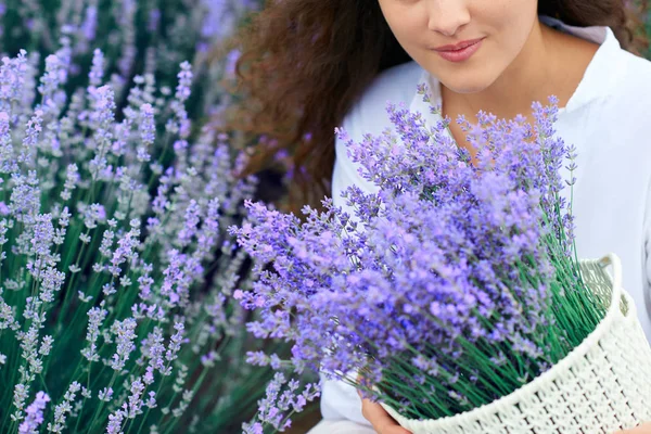 Cesta com flor de lavanda está na mão da mulher — Fotografia de Stock