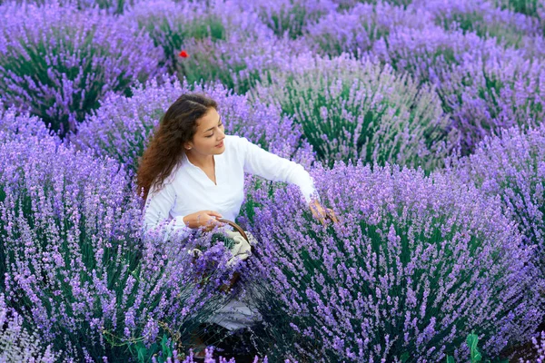 Jovem mulher com papoula está no campo de flores de lavanda, bela paisagem de verão — Fotografia de Stock