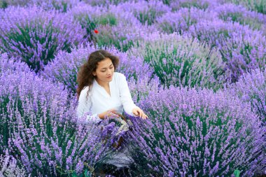 Genç kadın lavanta çiçek alanında, güzel yaz manzara