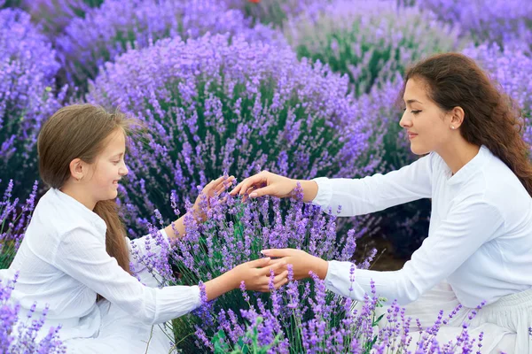 Meninas estão no campo de flores de lavanda, bela paisagem de verão — Fotografia de Stock