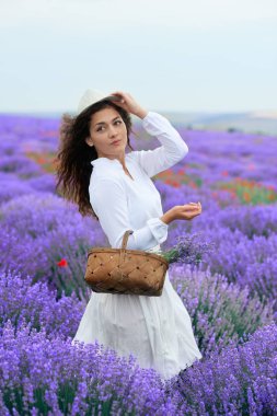 Genç kadın lavanta çiçek alanında, güzel yaz manzara