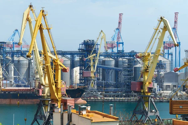 Industrial port, infrastructure of seaport, cranes and dry cargo ships — Stock Photo, Image