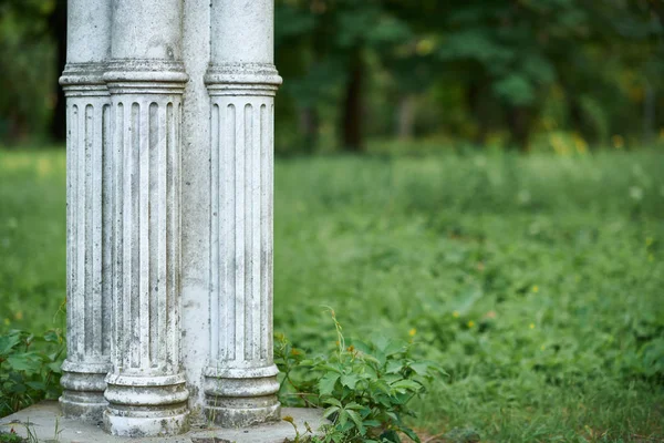 공원, 복고풍 건축, 나무와 잎의 오래된 흰색 기둥 — 스톡 사진
