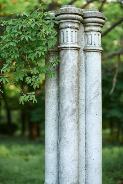 Coluna branca velha no parque, arquitetura retro, árvores e folhas — Fotografia de Stock